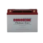 RG-35AXC Aircraft Battery
