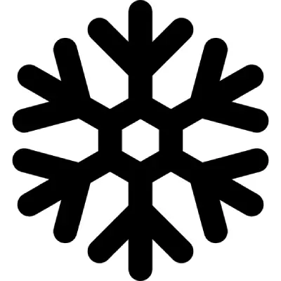 Ice Protection Category Icon